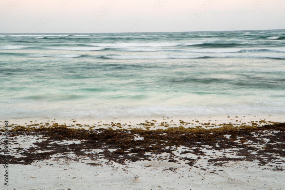 Long exposure shot. View of the beach at sunset. The blurred sea waves, sargassum seaweed, white sand shore and horizon. The water surface reflects the beautiful dusk light. Long exposure shot. View of the beach at sunset. The blurred sea waves, sargassum seaweed, white sand shore and horizon. The water surface reflects the beautiful dusk light.