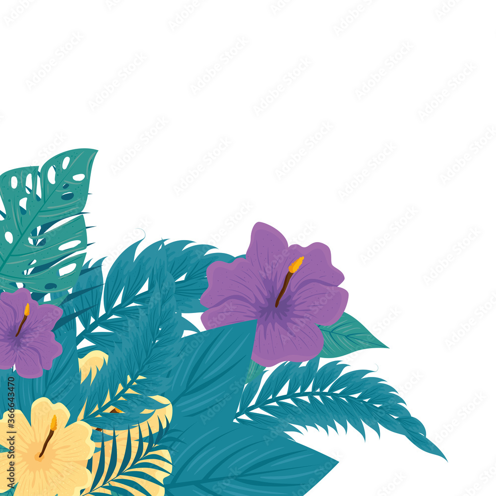 decoration of hibiscus yellow and purple color, with tropical leaves, spring summer botanical