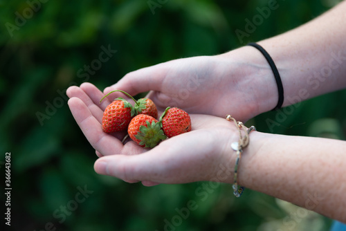 handful of strawberries