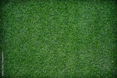 Top view of Artificial grass texture
