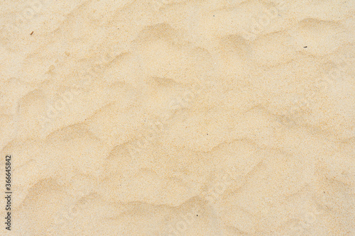 Closeup of sand texture in summer sun