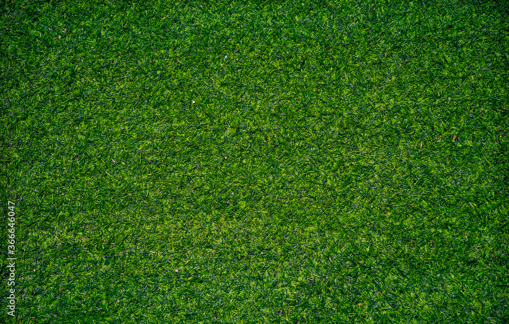 Fototapeta premium Top view of artificial grass texture.