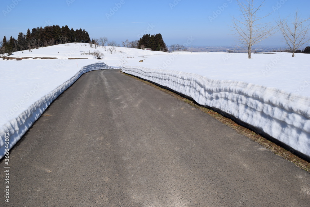 雪国の道路