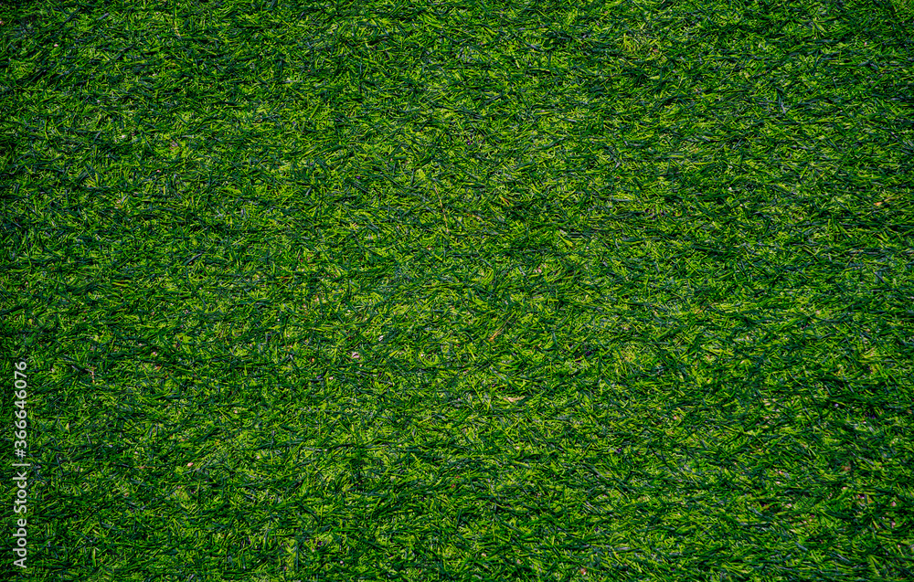Obraz premium Top view of artificial grass texture.