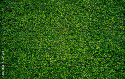 Top view of artificial grass texture.