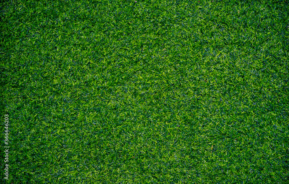 Obraz premium Closeup of artificial grass texture