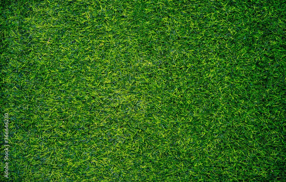 Fototapeta premium Closeup of artificial grass texture