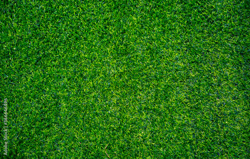 Fototapeta premium Artificial grass background. Wallpaper and background concept.