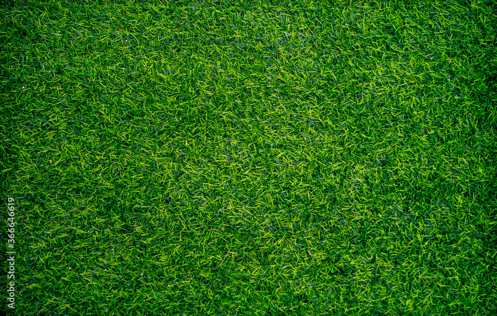 Obraz premium Artificial grass background. Wallpaper and background concept.