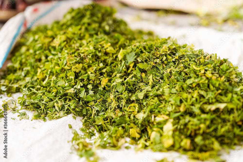 bunch of delicious chopped green coriander in a bunch on the ground