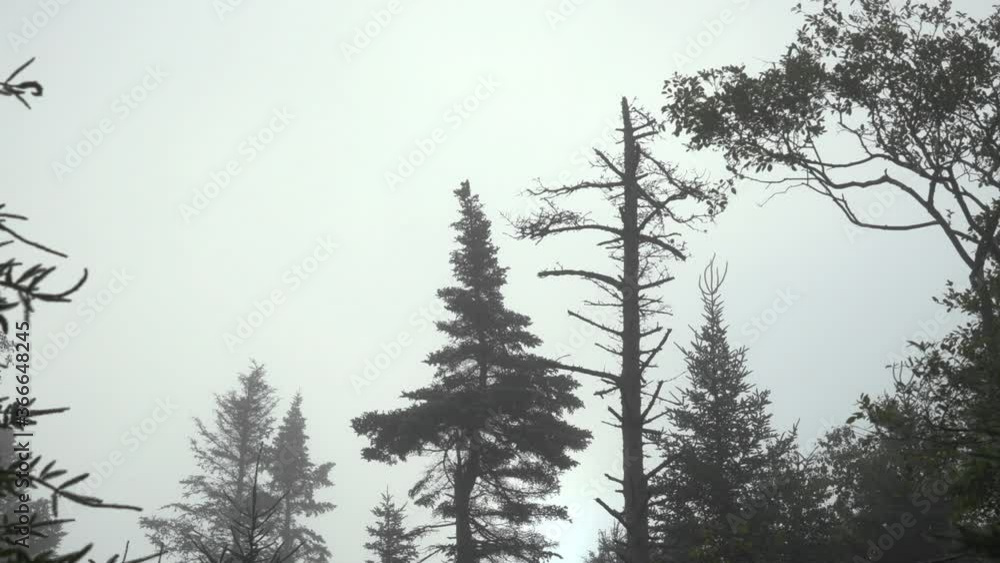 LANDSCAPE TIMELAPSE LANDSCAPE TIMELAPSE