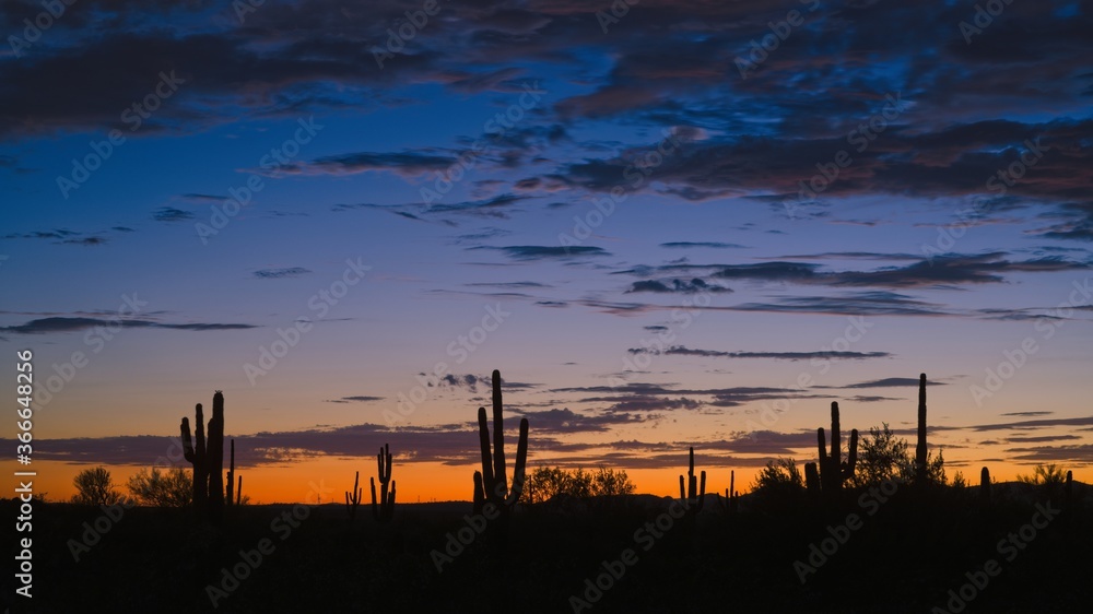 Sunset Over the Desert