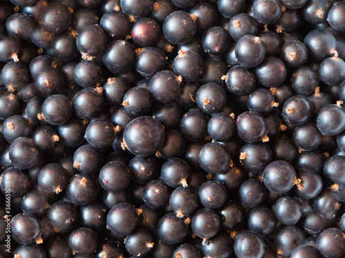 Black currant ripe berries close - up view