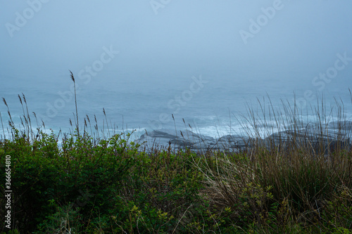 Coastal landscapes in New England by Constantine © Constantine