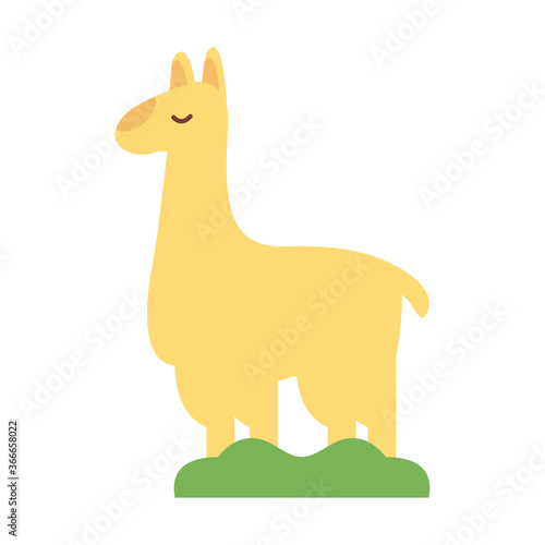 alpaca exotic animal flat style icon