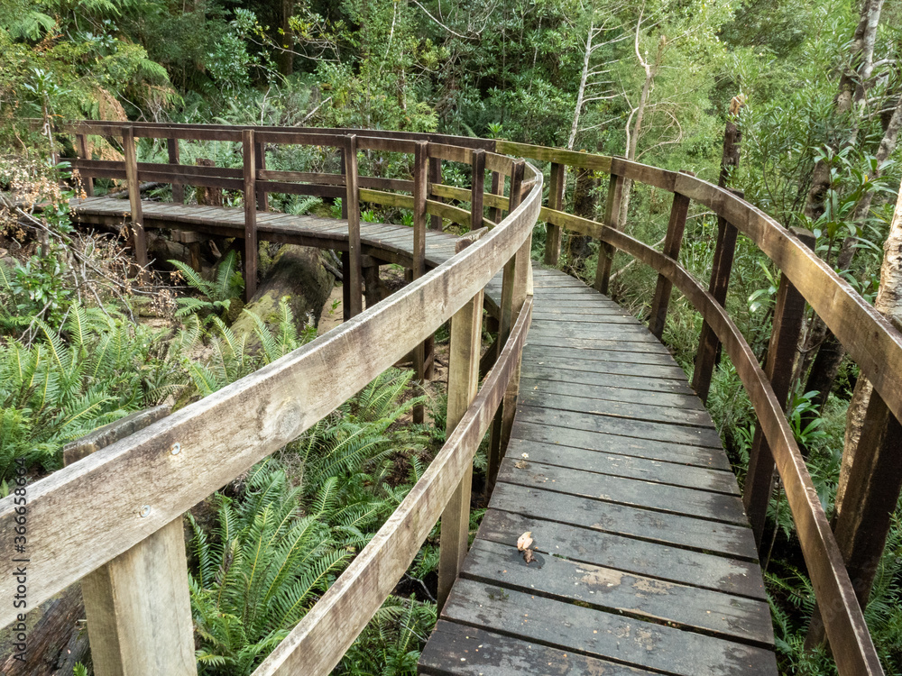 Boardwalk forest path at Tahune Airwalk with right curve