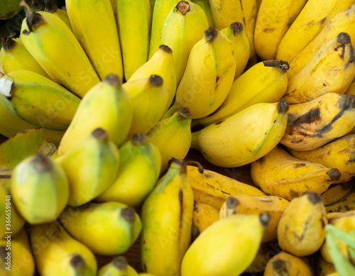Yellow ripe banana Is a fruit that has nutrition