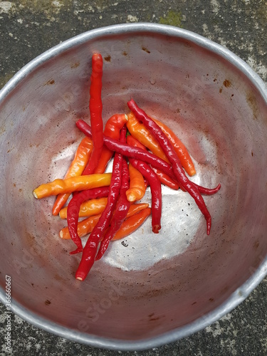 Long Fresh Red and Orange Chilly