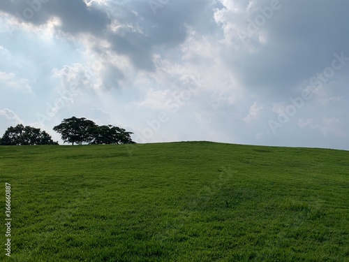 Fotografia Teletubbies hill in Seoul, South Korea