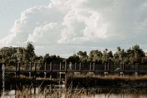 Children walk along a boardwalk in a nature reserve park