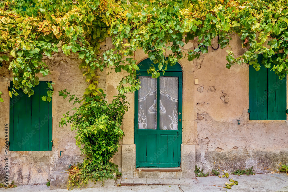Street view of a simple, old-fashioned French village house in Provence, with wooden doors and shutters, lace curtains in the windows, and grapevines trailing over the facade.