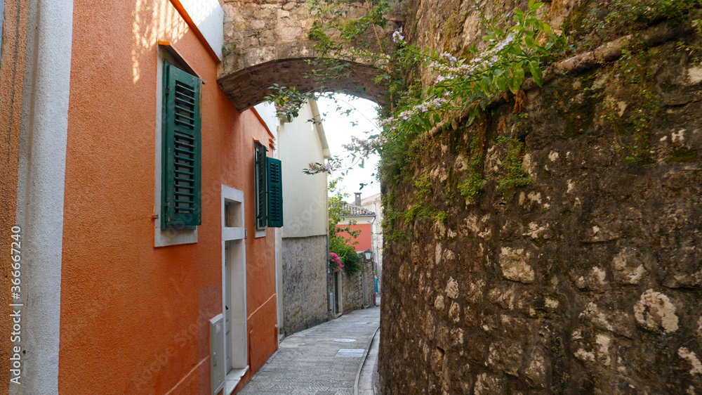 Ancient narrow streets in the old town. The walls are intertwined with green plants. Europe. Montenegro.