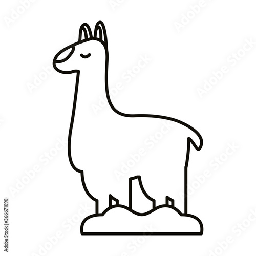 alpaca exotic animal line style icon