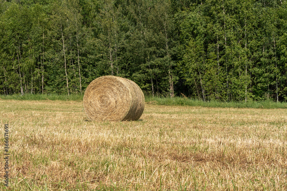 haystack in a field in summer