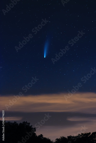Neowise comet on dark cloudy starry sky © ThomasLENNE