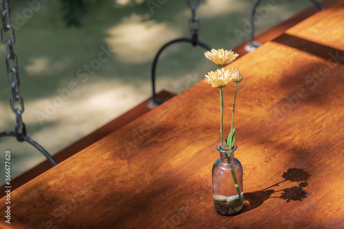 Tableau sur toile Orange daisy in glass vase on wooden table.