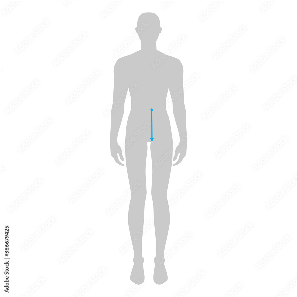 Men to do waist to hip measurement fashion Illustration for size chart. 7.5 head size boy for site or online shop. Human body infographic template for clothes. Men to do waist to hip measurement fashion Illustration for size chart. 7.5 head size boy for site or online shop. Human body infographic template for clothes.