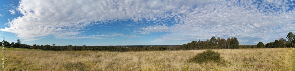 Beautiful panoramic view of a park with wild grass, tall trees in the background and a deep blue puffy sky, Rouse Hill Regional Park, Rouse Hill, New South Wales, Australia
