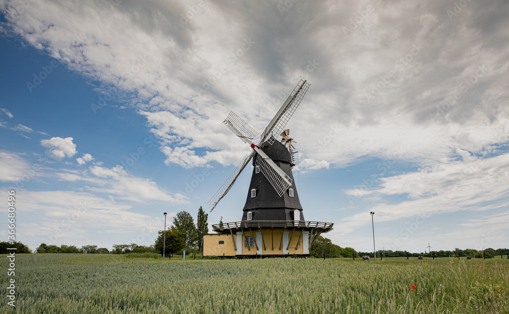 old wind mill in denmark with a field