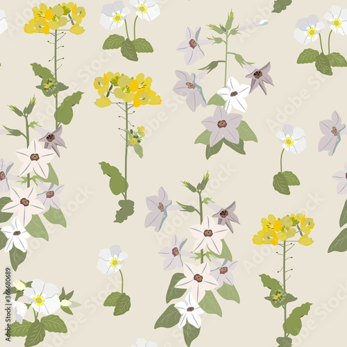 Seamless vector illustration with field bells in pastel colors.