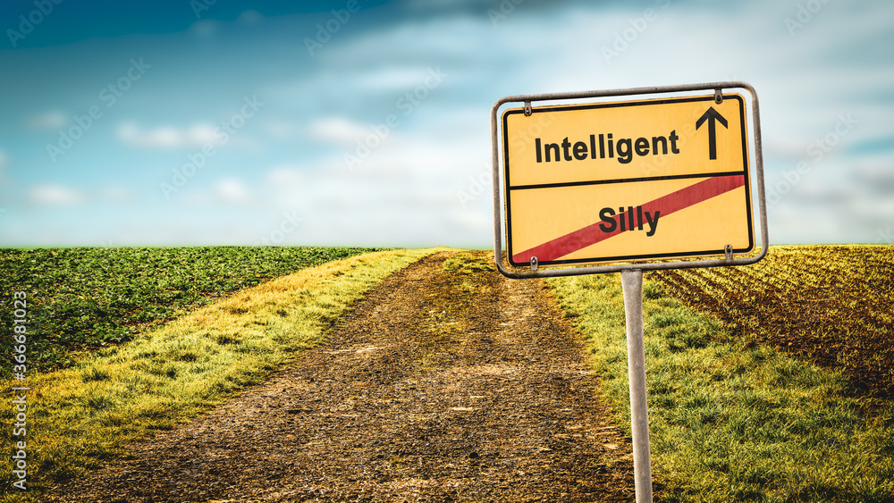 Street Sign Intelligent versus Silly