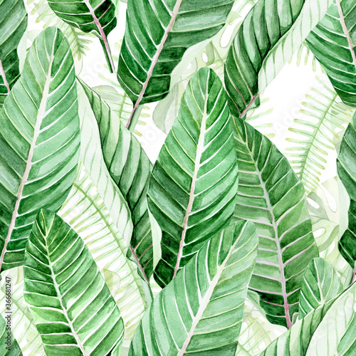 watercolor drawing, seamless pattern. green tropical leaves on a white background. leaves of palm trees and exotic plants. background for wallpaper, fabric, wrapping paper