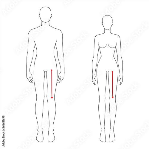 Women and men to do crotch to knee measurement fashion Illustration for size chart. 7.5 head size girl and boy for site or online shop. Human body infographic template for clothes. 