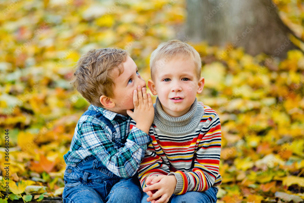 A boy tells a secret to his friend in the ear in an autumn Park against a background of yellow leaves. The boys smile. A boy tells a secret to his friend in the ear in an autumn Park against a background of yellow leaves. The boys smile.