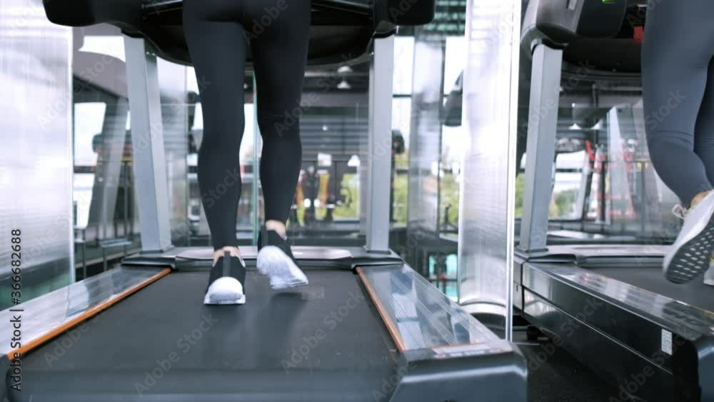 Group women Exercise treadmill cardio running workout at fitness gym Group women Exercise treadmill cardio running workout at fitness gym
