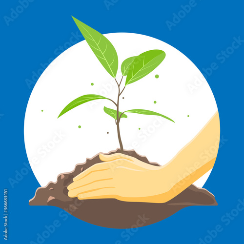 plant a tree seedling flat icon logo vector illustration, stock vector