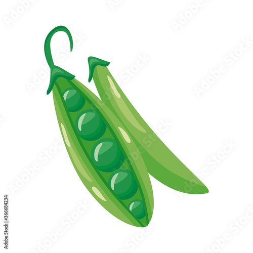 pea healthy vegetable detailed style icon