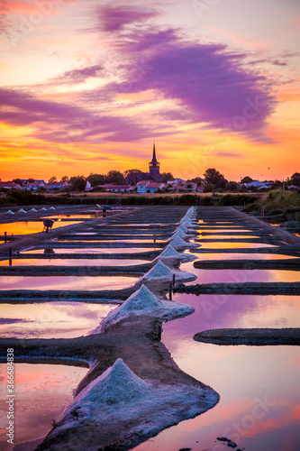 Panoramic view of the salt marshland at sunrise, Olonne area, Vendee, France