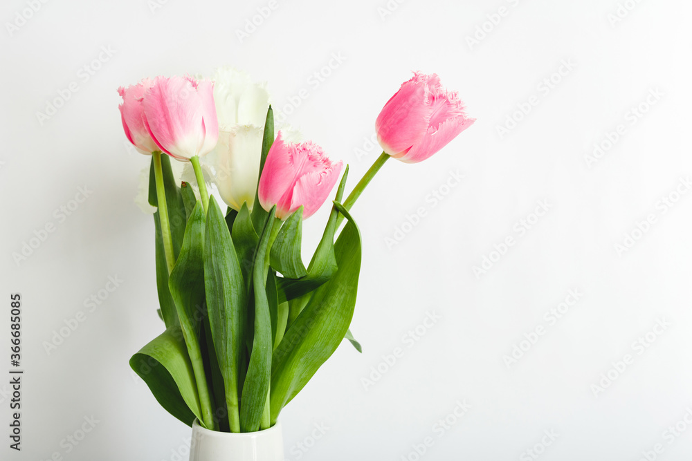 Pink tulips bouquet on white background with copy space. Bouquet of Beautiful pink and white spring tulips flowers for Mothers Day, Valentine Day, birthday concept, Hello spring. Pink tulips bouquet on white background with copy space. Bouquet of Beautiful pink and white spring tulips flowers for Mothers Day, Valentine Day, birthday concept, Hello spring.