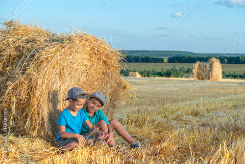  Children sit at a haystack in a field with hay bales after harvest on a sunny day and have fun talking