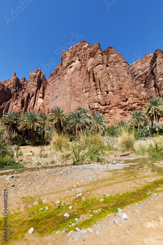 Wadi Disah, also known as Wadi Qaraqir, is a 15 kilometer long canyon running through the Jebel Qaraqir, a sandstone massif lying about 80 kilometers south of the city of Tabuk in Saudi Arabia photo