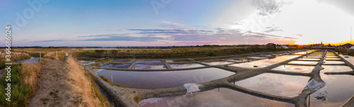 Panoramic view of the salt marshland at sunrise, Olonne area, Vendee, France