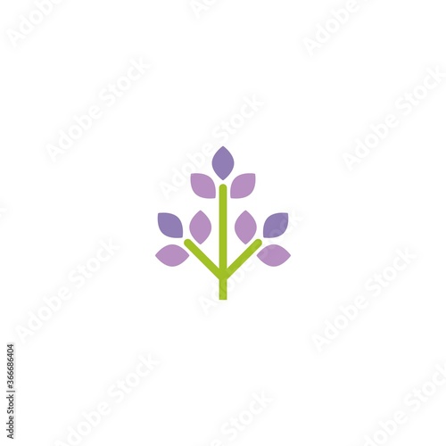 Green flat icon of lavender flower. Isolated on white. Vector illustration.