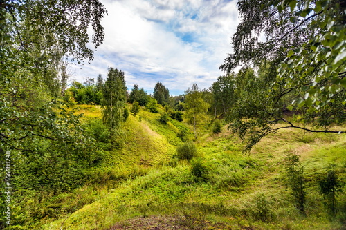 View of the ravine overgrown with grass and trees in the forest in summer