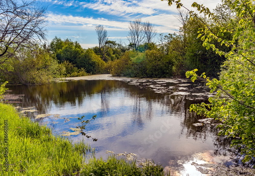 Quiet river with banks covered with vegetation in summer