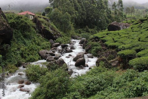 waterfall in the tea gardens of Munnar